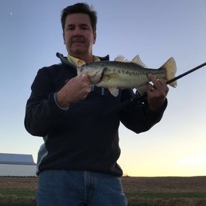 Meet your Posher, Todd